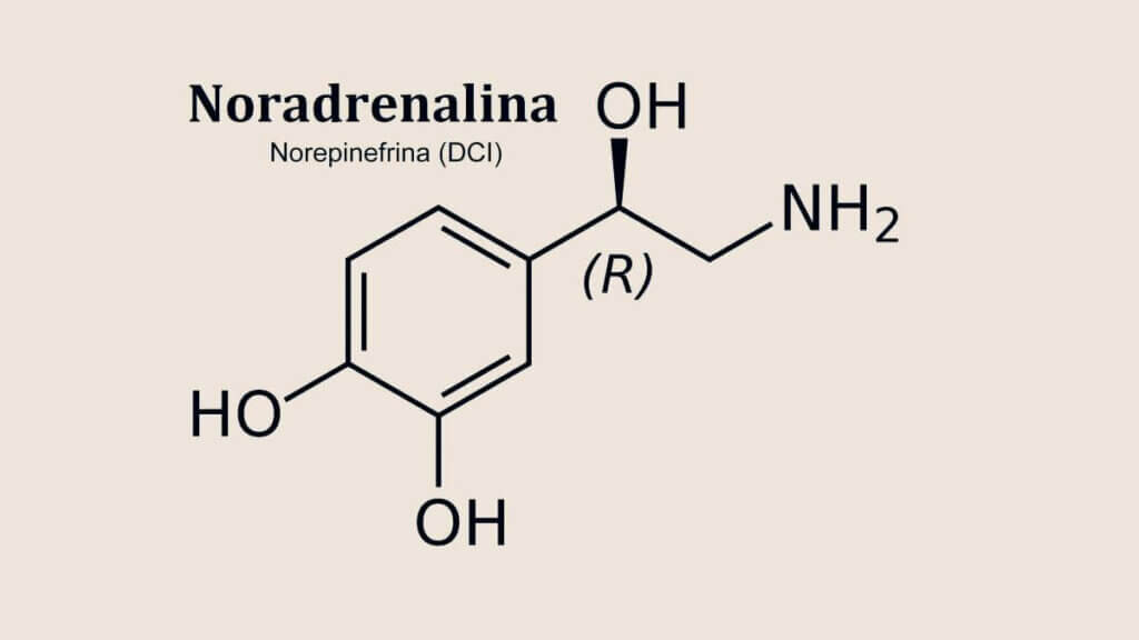 Fórmula química da noradrenalina