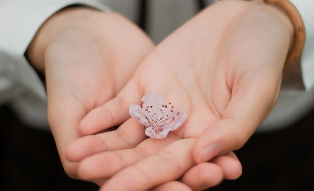 A delicadeza da flor