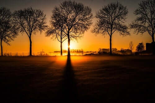 Nascer do sol