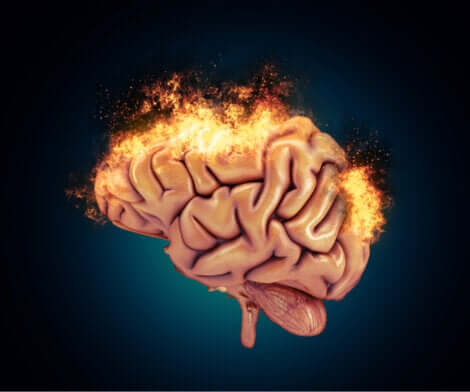 Cérebro em chamas