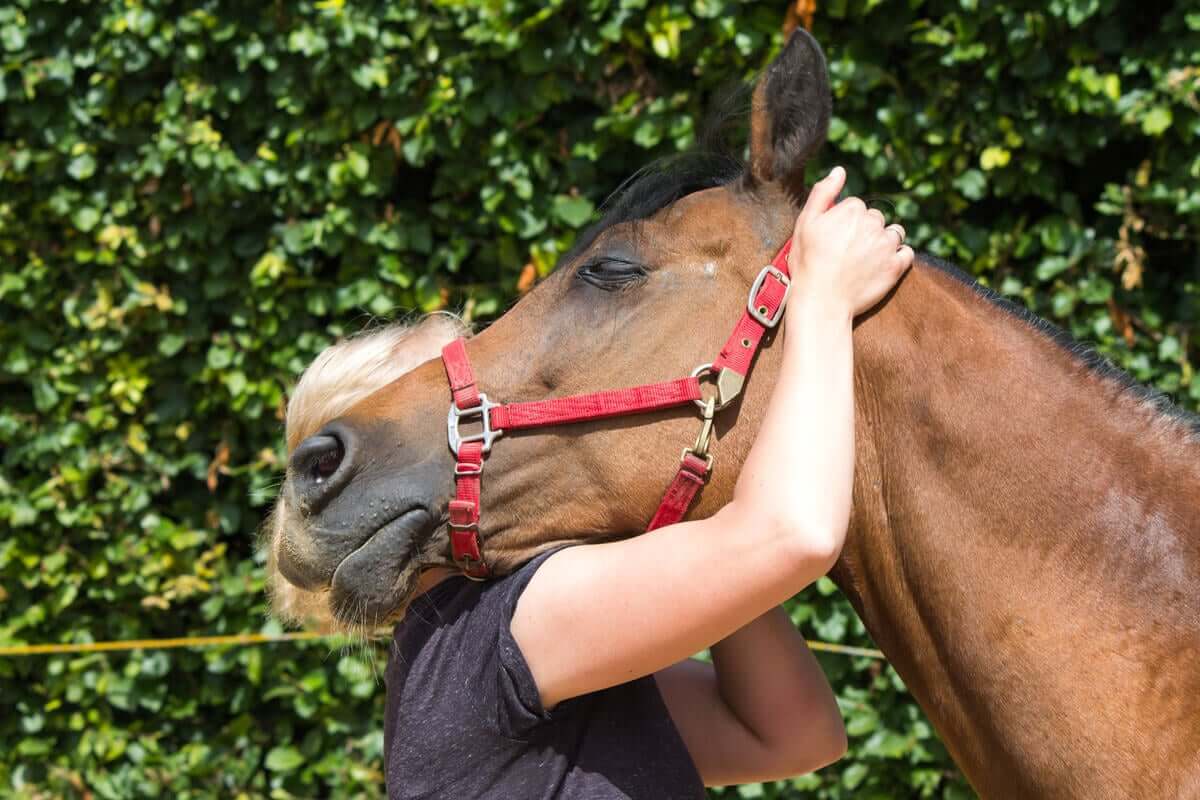 Mulher abraçando cavalo