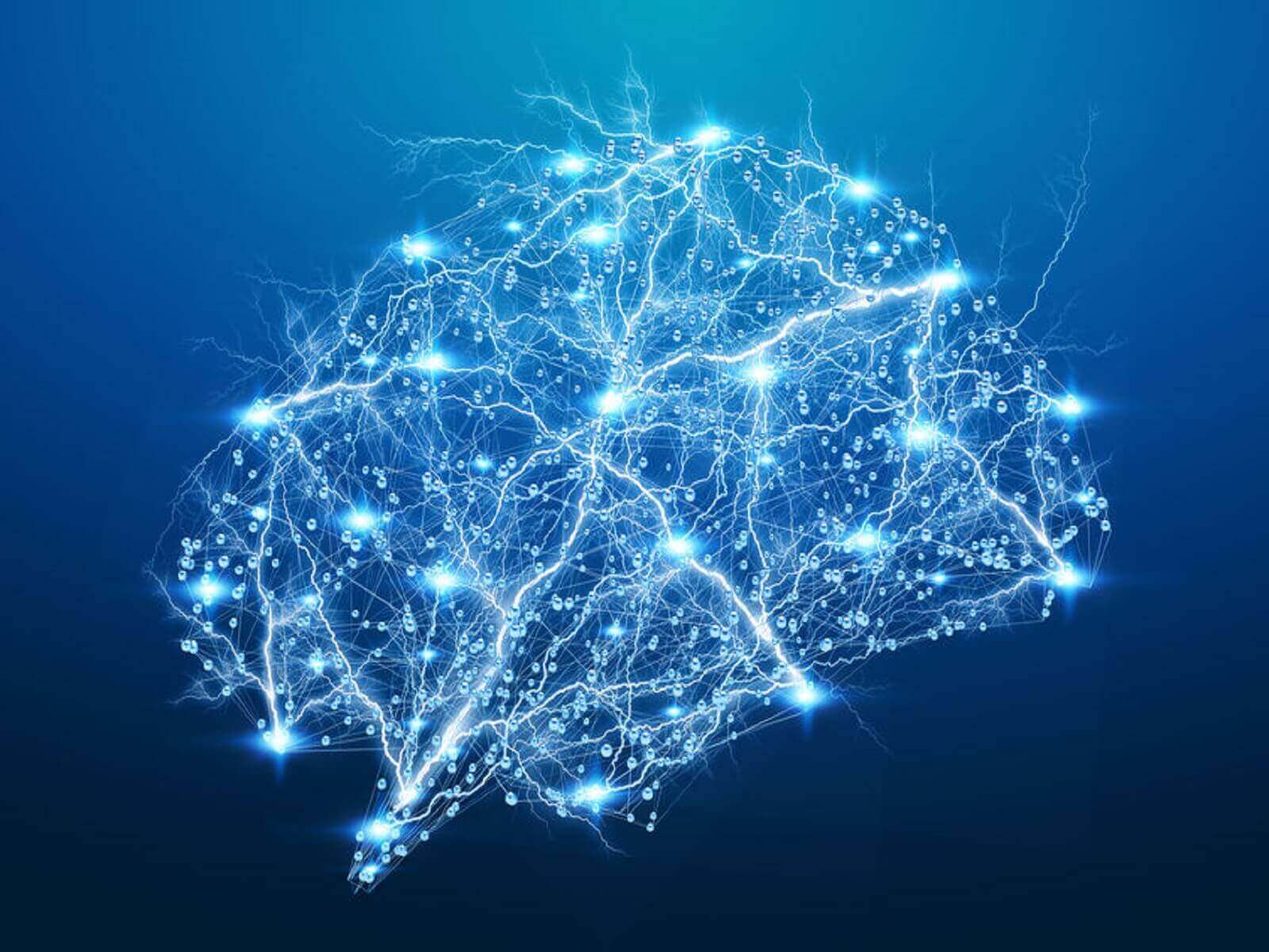 O que são as impressões digitais do cérebro?