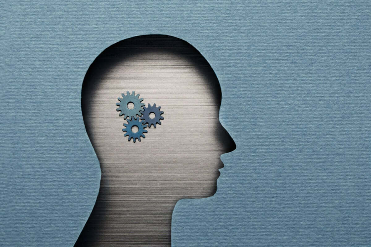 Você sabe o que é a metamemória?