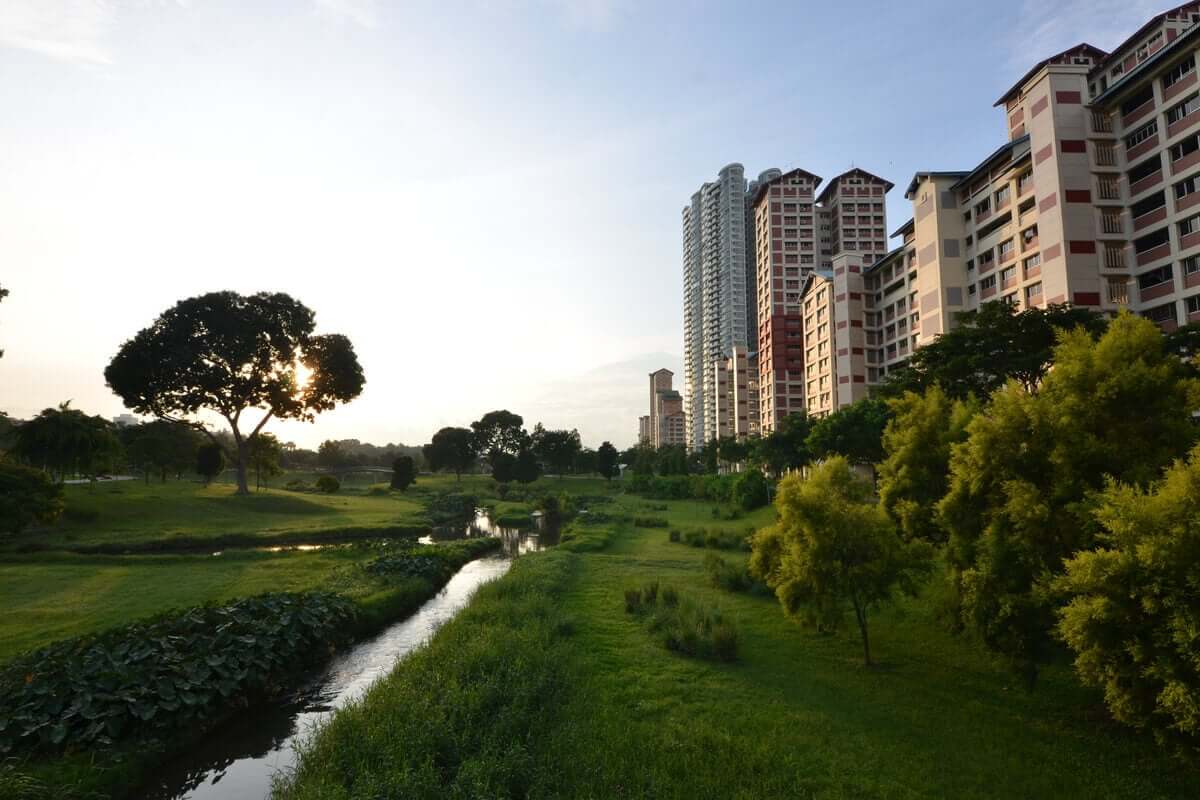 A biofilia e a mente humana