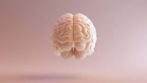 Imagem do cérebro humano