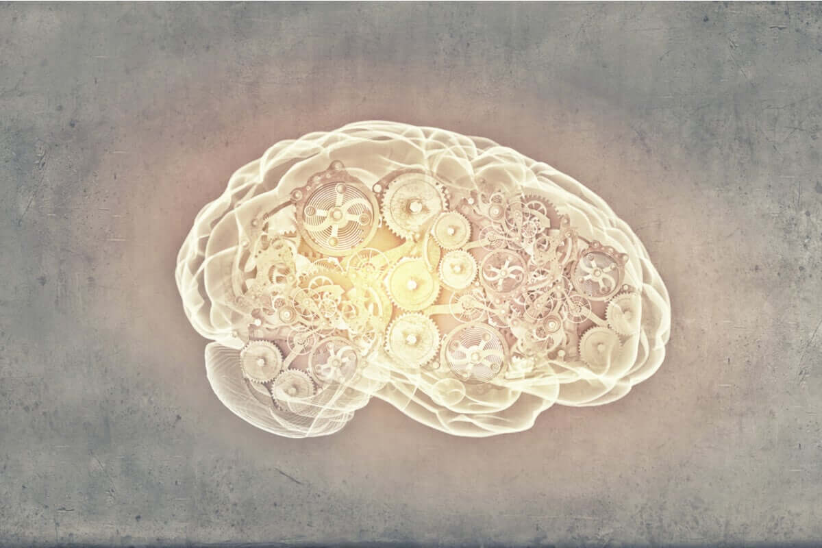 Os mecanismos do cérebro