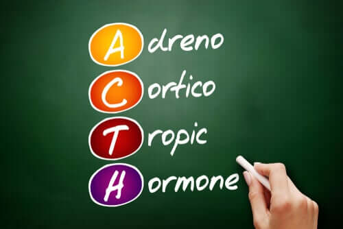 Hormônio adrenocorticotrófico