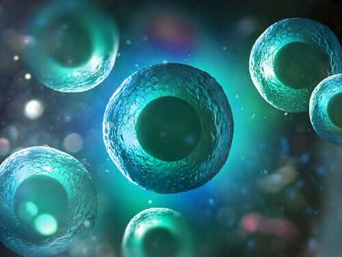 As células emitem luz antes de morrer, segundo um estudo
