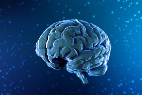 Neuropsicologia experimental