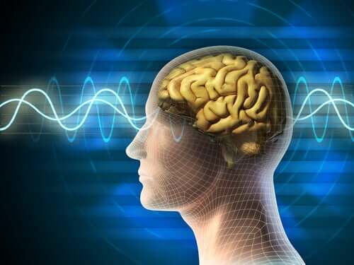 A teoria da consciência quântica