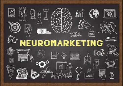 O neuromarketing e o cérebro do consumidor