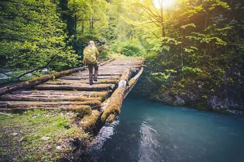 Viajante atravessando ponte
