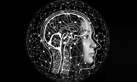 Desenvolvimento cerebral