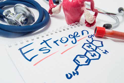 Estrogênio: características e funções
