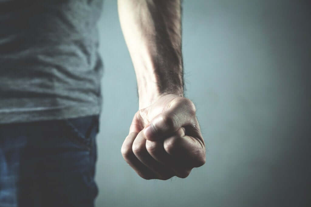 Quais são as causas da agressividade?