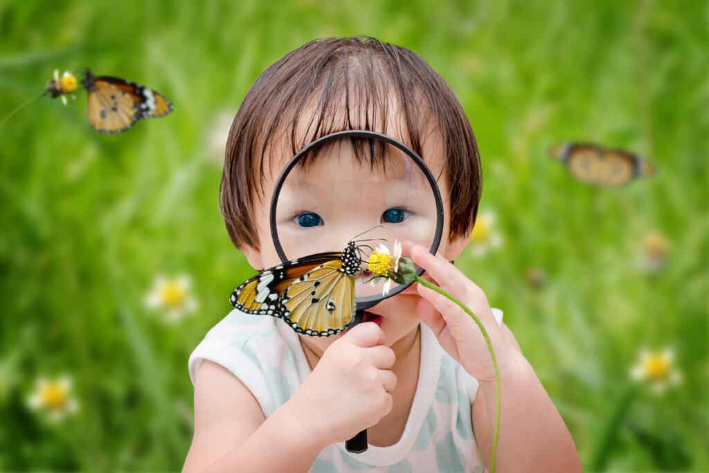 Criança observando borboleta