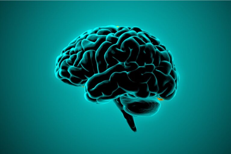 O que a neurociência diz sobre o cérebro das pessoas violentas?