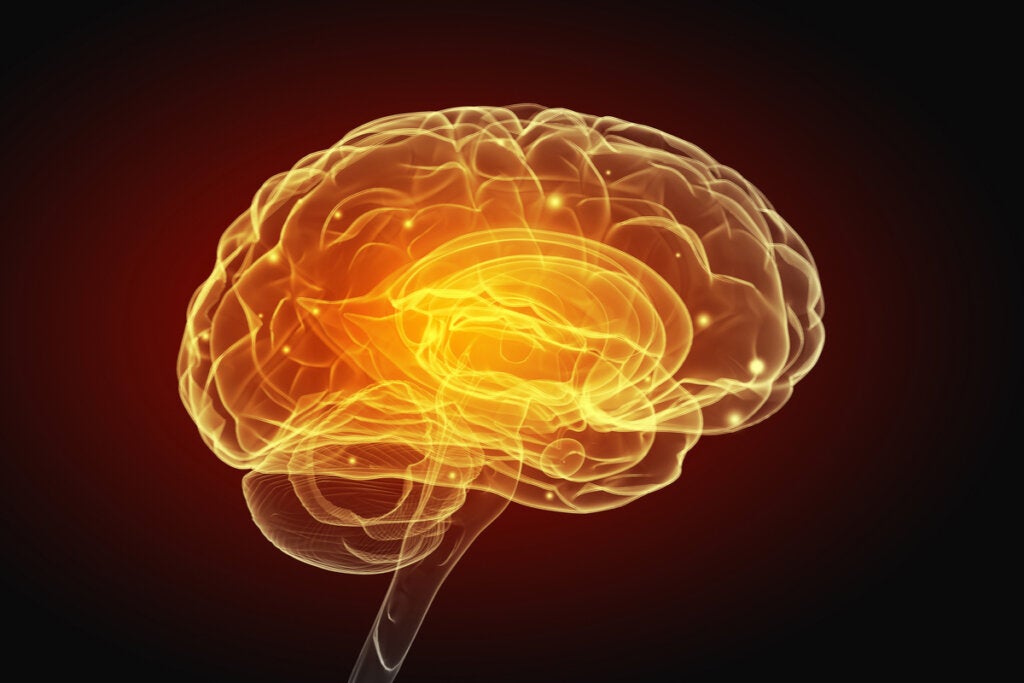A inteligência artificial nos permitirá escrever com o pensamento