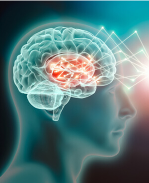 Neurociência