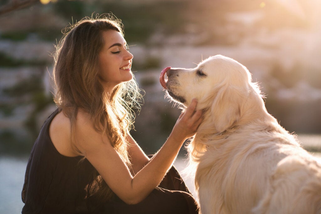 Seu cachorro entende quando você fala com ele, de acordo com um estudo