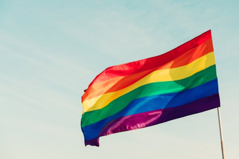 Movimento LGBTQIA+: em que consiste e qual é a sua história?