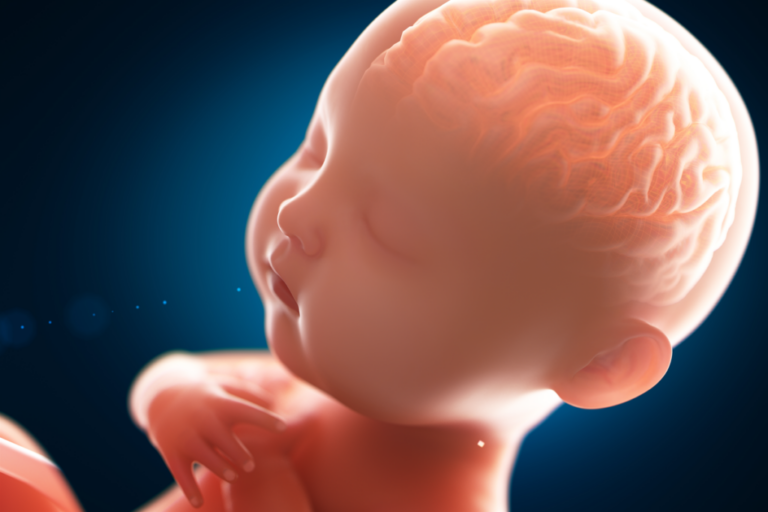 De 0 a 4 anos: uma fase decisiva para o desenvolvimento cérebro infantil