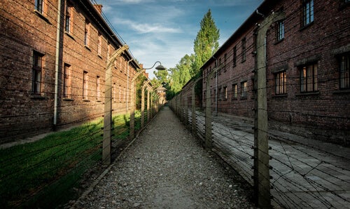 Uma fantástica história de amor em Auschwitz