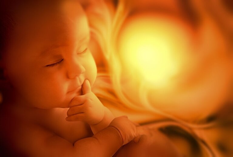 5 habilidades que se instalam antes do nascimento