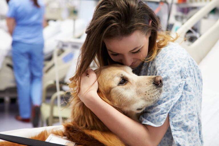 Pet terapia: o que é e quais são seus benefícios