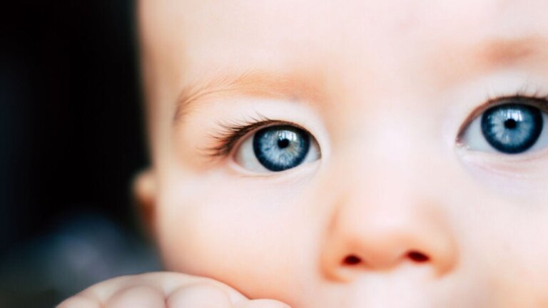 Constância perceptiva em bebês: o que eles veem e nós não conseguimos ver